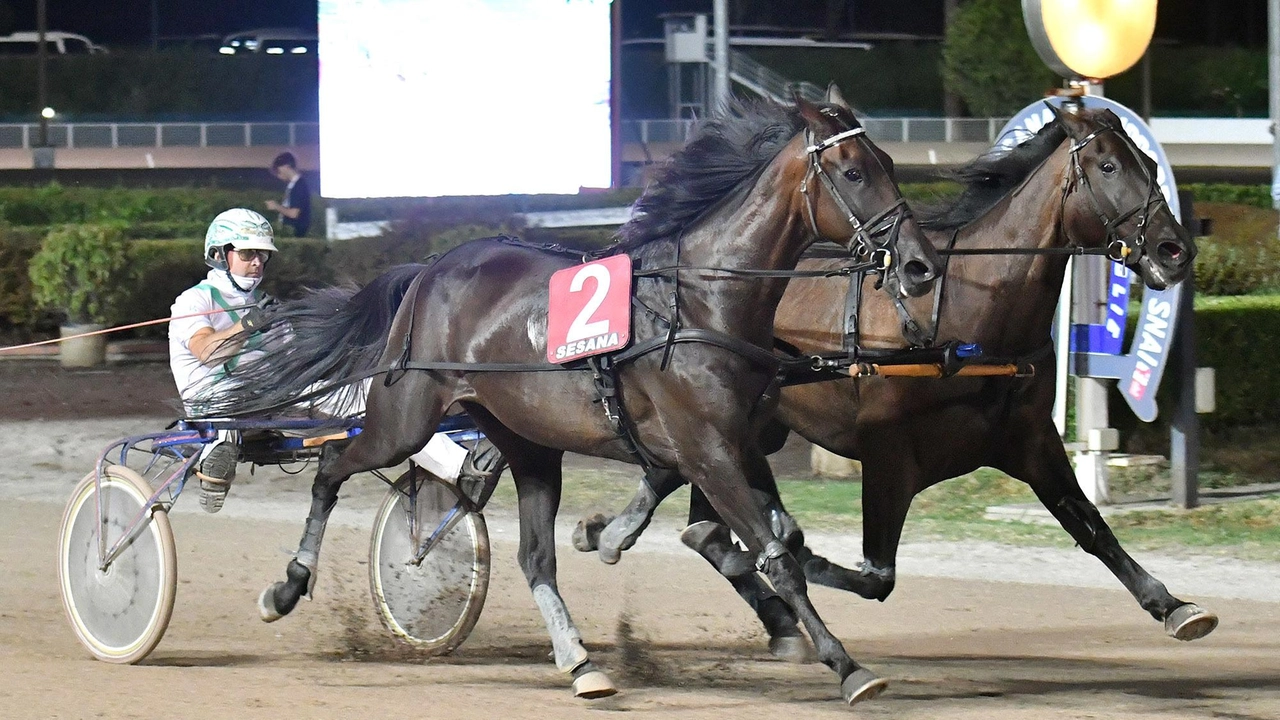 La passata edizione della corsa delle pariglie all’ippodromo Sesana è stata vinta da Edoardo Baldi con Country Gial-Dynamite Kandy. Il driver si ripresenta questa sera alla guida della coppia formata da Nacea e Aspramara La passata edizione della corsa delle pariglie all’ippodromo Sesana è stata vinta da Edoardo Baldi con Country Gial-Dynamite Kandy. Il driver si ripresenta questa sera alla guida della coppia formata da Nacea e Aspramara