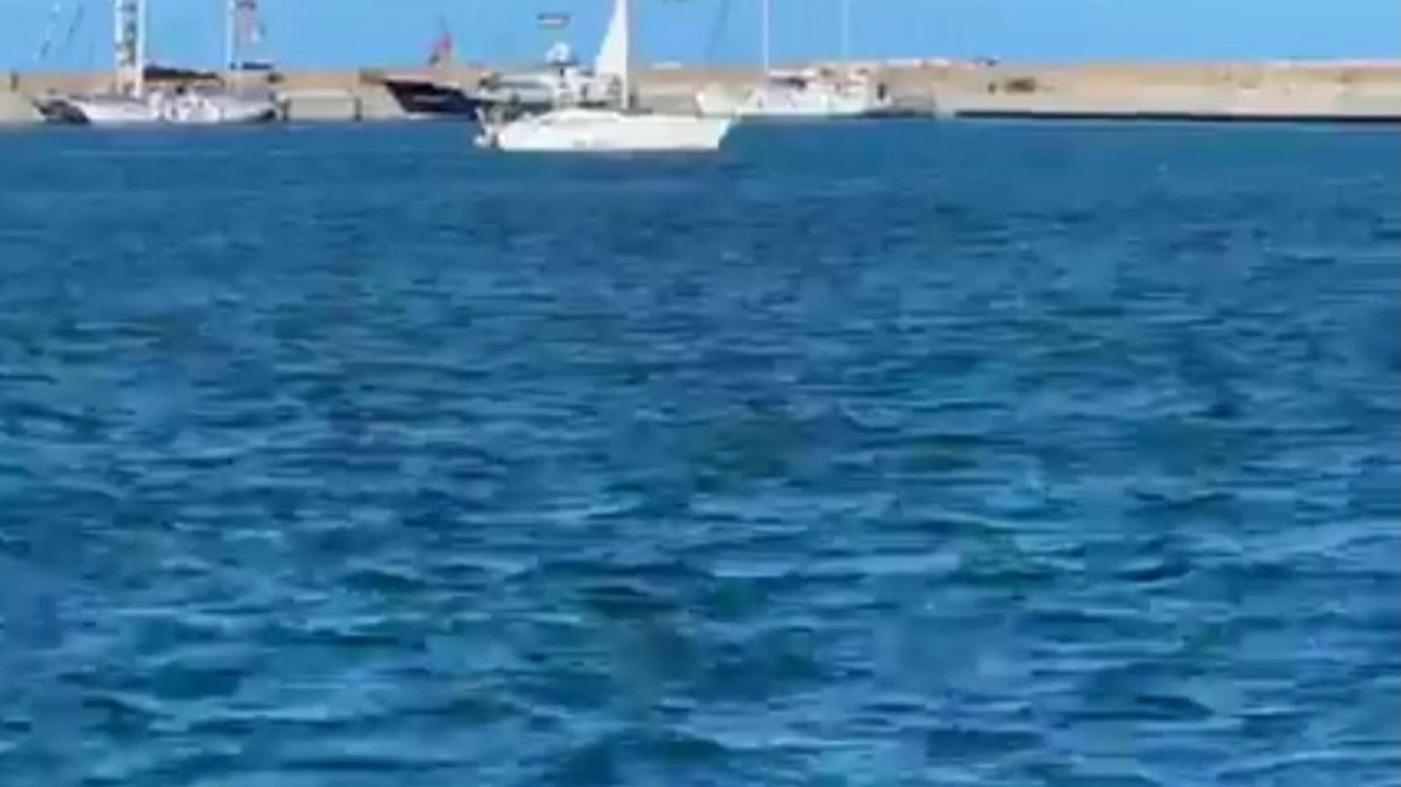 Si ricongiungeranno con quelle salpate da Augusta e Grecia Si ricongiungeranno con quelle salpate da Augusta e Grecia