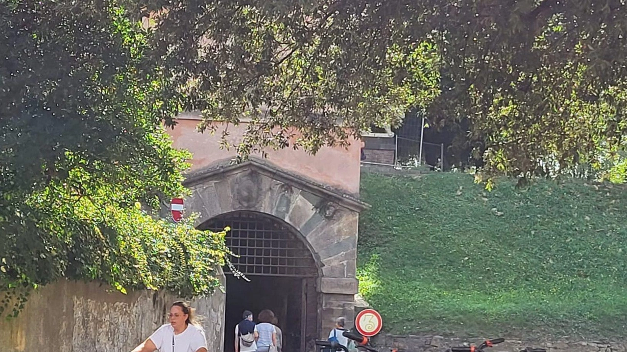 Le biciclette. di Ride Movi sono apprezzate: 80 noleggi il giorno Le biciclette. di Ride Movi sono apprezzate: 80 noleggi il giorno