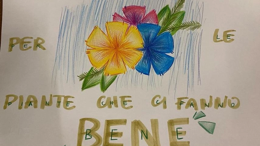 Il disegno realizzato dalla alunna. Mia Chen dell’istituto Suore Mantellate di Pistoia Il disegno realizzato dalla alunna. Mia Chen dell’istituto Suore Mantellate di Pistoia