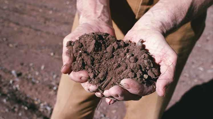 Agricoltura sociale, via libera definitivo al regolamento di attuazione