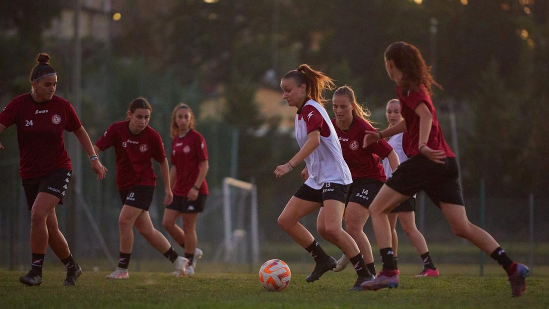 ACF Arezzo ufficializza l ACF Arezzo ufficializza l