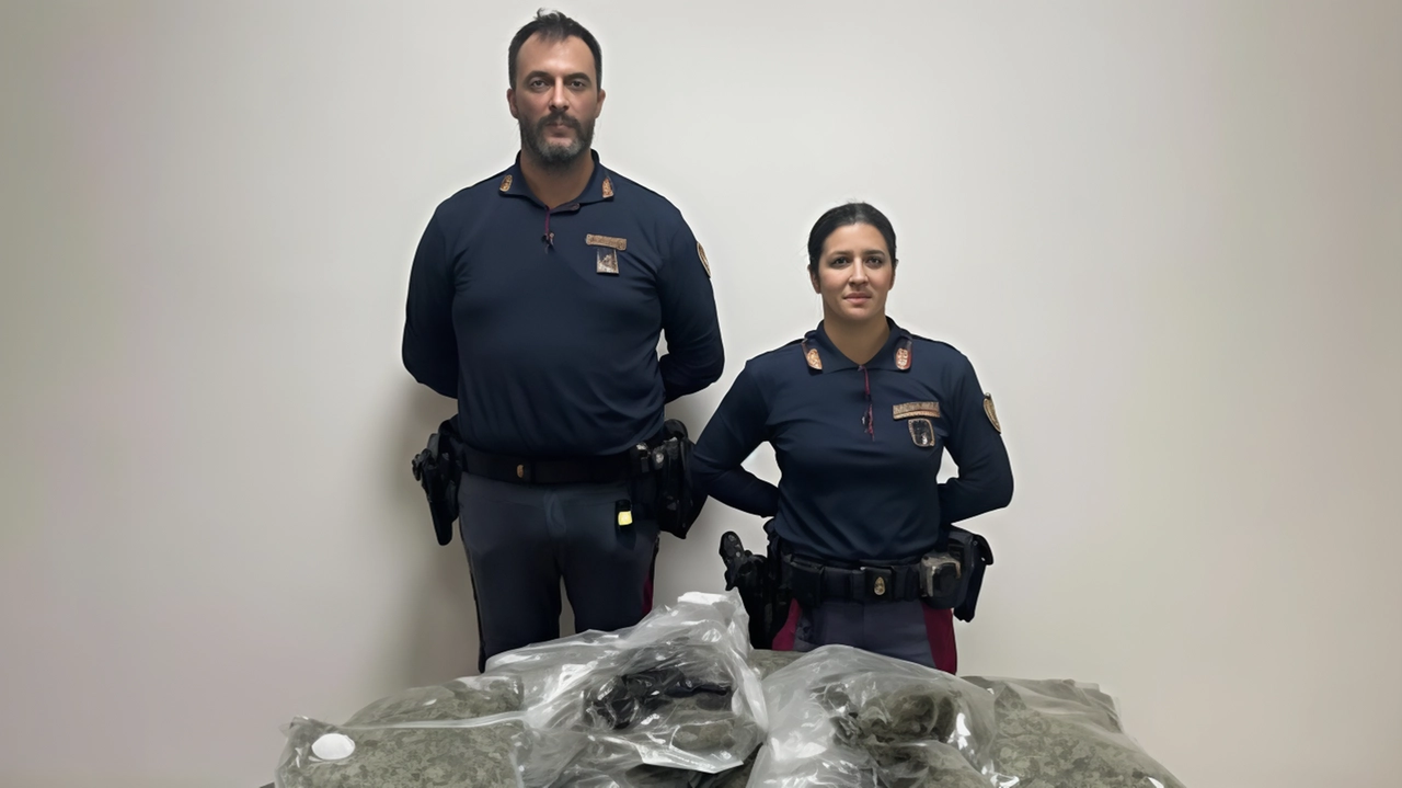 Coppia di trafficanti di droga fermata in A1 con 12 chili di marijuana: arrestati e messi a disposizione dell'Autorità giudiziaria.