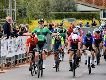 immagine articolo