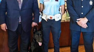 Dopo il saluto al cane ’Destroy’, che ha concluso la sua carriera operativa nei mesi scorsi, il Comune di Grosseto... Dopo il saluto al cane ’Destroy’, che ha concluso la sua carriera operativa nei mesi scorsi, il Comune di Grosseto...