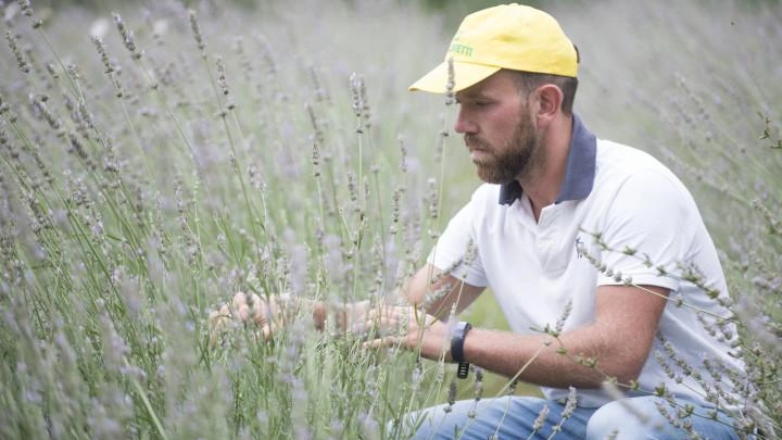 Imprenditore agricolo in dieci passi. Al via la prima edizione di “Giovani in campo” l’open day di Coldiretti per aiutare... Imprenditore agricolo in dieci passi. Al via la prima edizione di “Giovani in campo” l’open day di Coldiretti per aiutare...