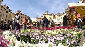 Torna anche quest’anno, dal 23 al 27 aprile, la tradizionale Fiera dei fiori e dei dolci di Santa Zita dedicata... Torna anche quest’anno, dal 23 al 27 aprile, la tradizionale Fiera dei fiori e dei dolci di Santa Zita dedicata...