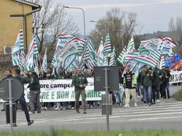 immagine articolo