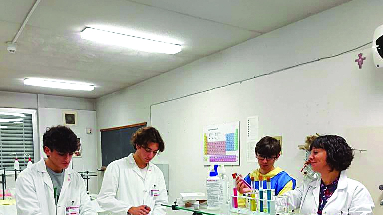 Professionale, quanti corsi e qualifiche