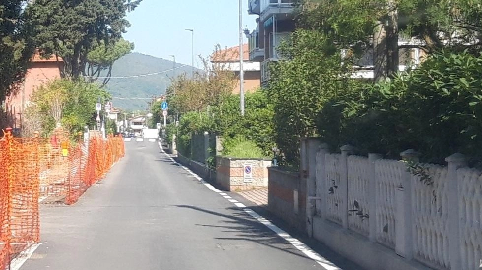 Nel borgo di Fiumaretta qualcuno ha rubato le piante utilizzate dalla cooperativa di comunità Terre del Magra e da Vivere Fiumaretta per rendere accogliente il paese Nel borgo di Fiumaretta qualcuno ha rubato le piante utilizzate dalla cooperativa di comunità Terre del Magra e da Vivere Fiumaretta per rendere accogliente il paese