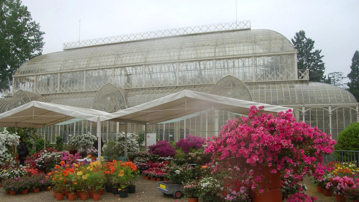 Mostra mercato di piante e fiori al Giardino dell’Orticoltura 