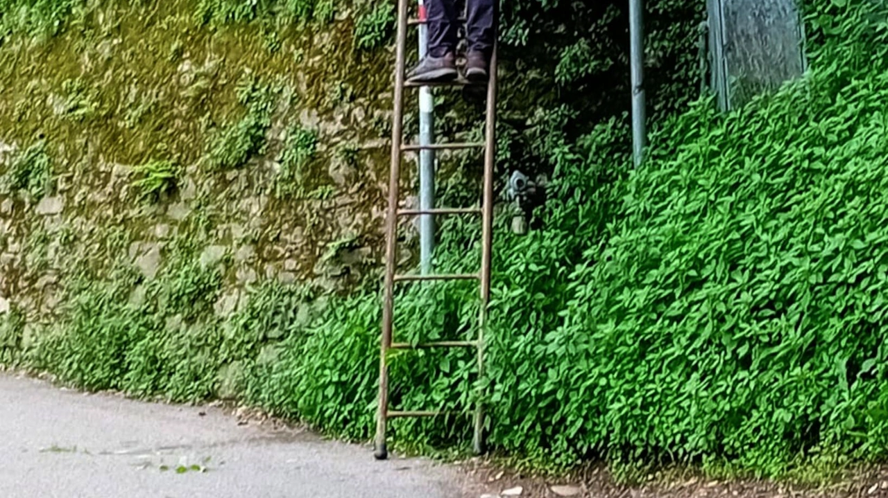 Dopo tanto lavoro, il meritato riposo: il gruppo di è ritrovato nella nuova piazza sotto il castello per una merenda Dopo tanto lavoro, il meritato riposo: il gruppo di è ritrovato nella nuova piazza sotto il castello per una merenda