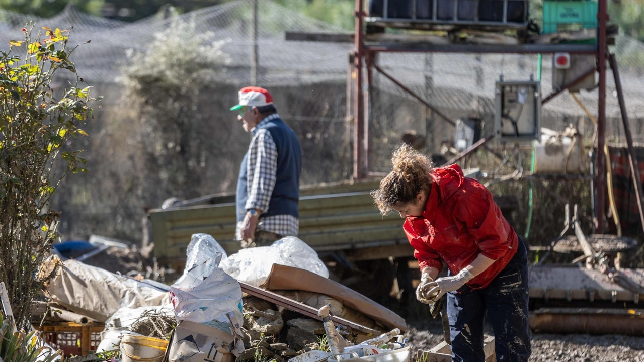 Il governo ha riconosciuto lo stato di emergenza per il Comune di Terricciola dopo l’alluvione di ottobre. "Un risultato importante... Il governo ha riconosciuto lo stato di emergenza per il Comune di Terricciola dopo l’alluvione di ottobre. "Un risultato importante...