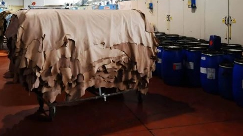 Il settore della conceria sta risentendo dei crisi della crisi internazionale Il settore della conceria sta risentendo dei crisi della crisi internazionale