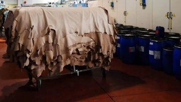 La Pegaso spa in liquidazione, 43 dipendenti vanno a casa