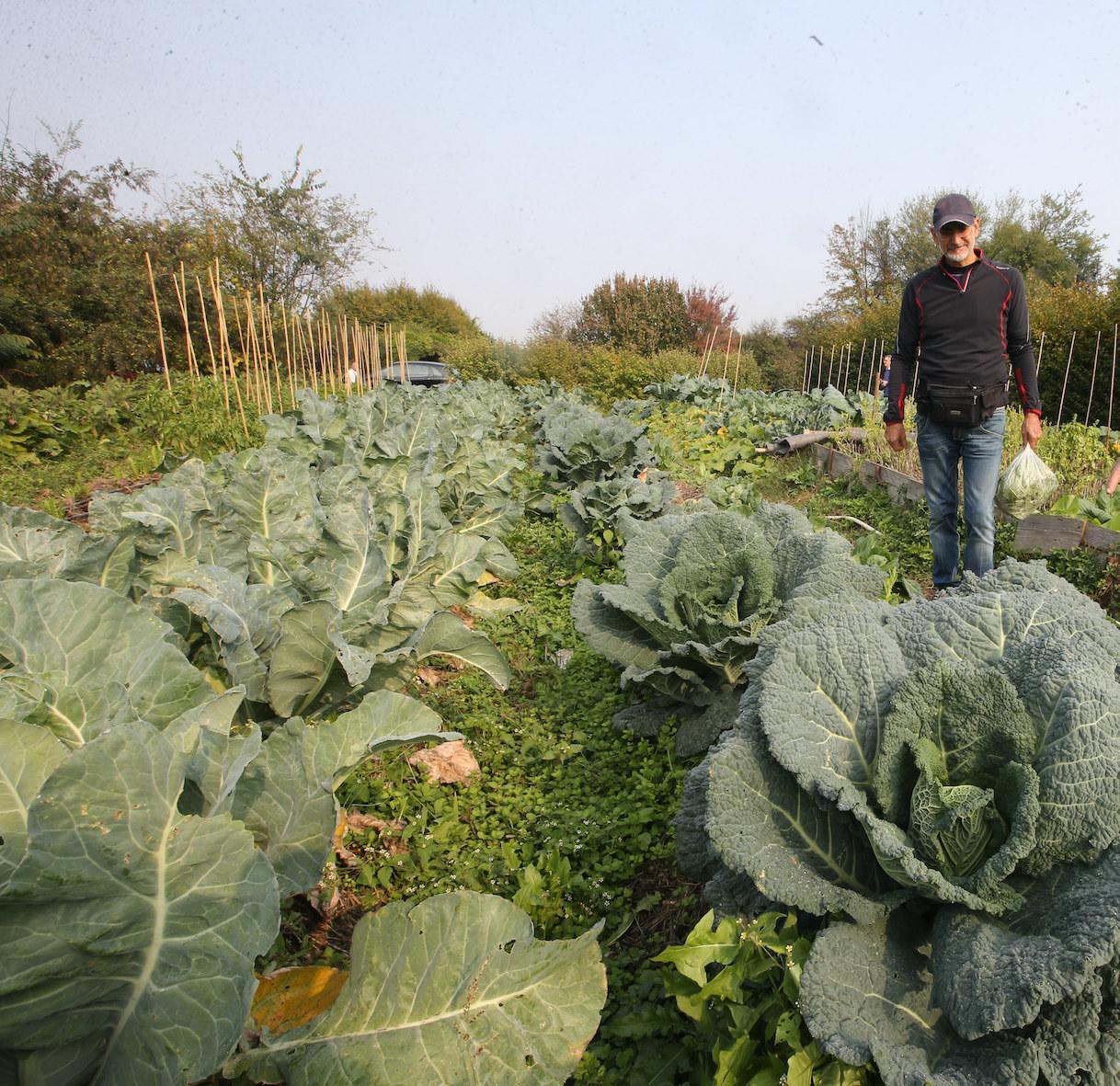 Festa dell’Unità. Tutti i temi dell’agricoltura
