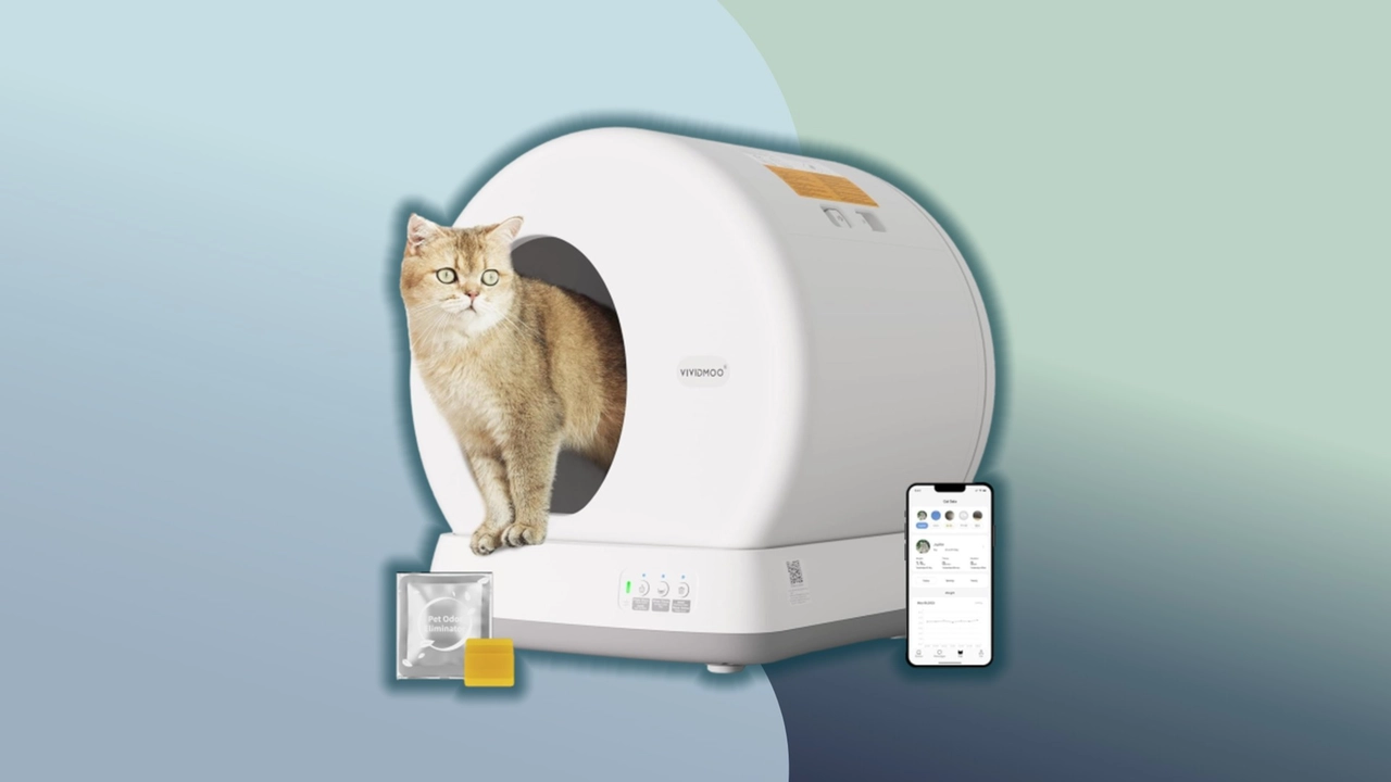 lettiera smart per gatti lettiera smart per gatti