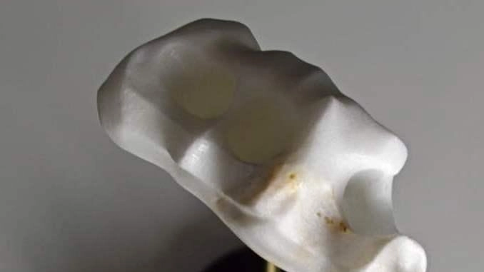 Una delle opere che saranno presentate Una delle opere che saranno presentate