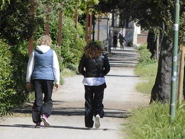 immagine articolo