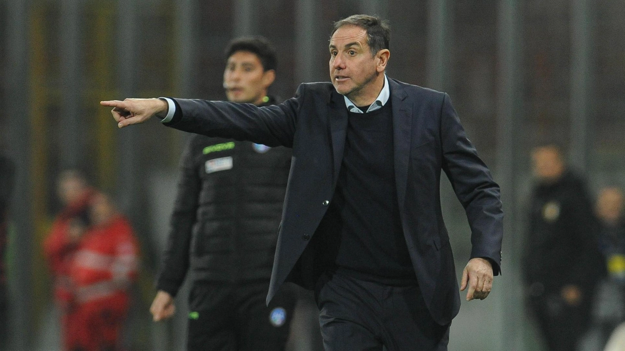 L’allenatore biancorosso Lamberto Zauli L’allenatore biancorosso Lamberto Zauli