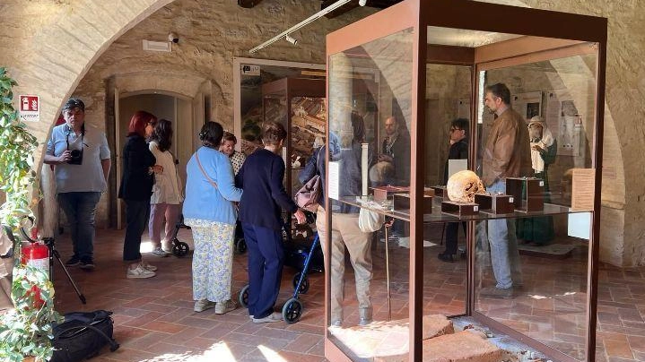 Il Museo archeologico di Monteriggioni in prima linea nella lotta all’Alzheimer Il Museo archeologico di Monteriggioni in prima linea nella lotta all’Alzheimer