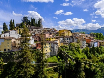 immagine articolo