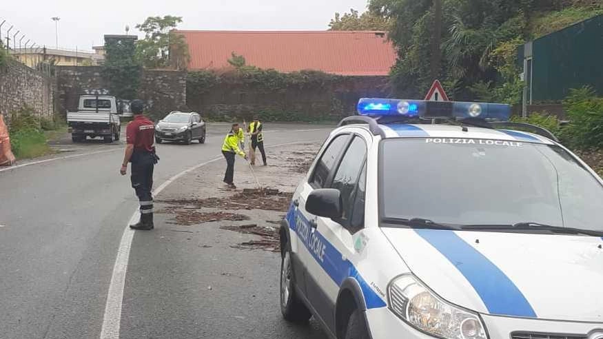 L’intervento sulla strada provinciale 530 ’Napoleonica’ fra Marola e Fabiano ad Acquasanta. dove la strada è stata invasa da fango e detriti L’intervento sulla strada provinciale 530 ’Napoleonica’ fra Marola e Fabiano ad Acquasanta. dove la strada è stata invasa da fango e detriti
