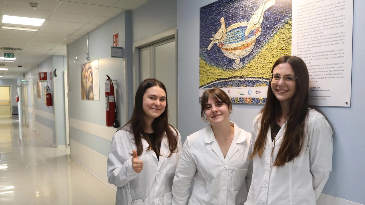 Concorsi per giovani medici, in provincia di Arezzo si reclutano undici professionisti: in particolare si cercano un medico anestesista e... Concorsi per giovani medici, in provincia di Arezzo si reclutano undici professionisti: in particolare si cercano un medico anestesista e...