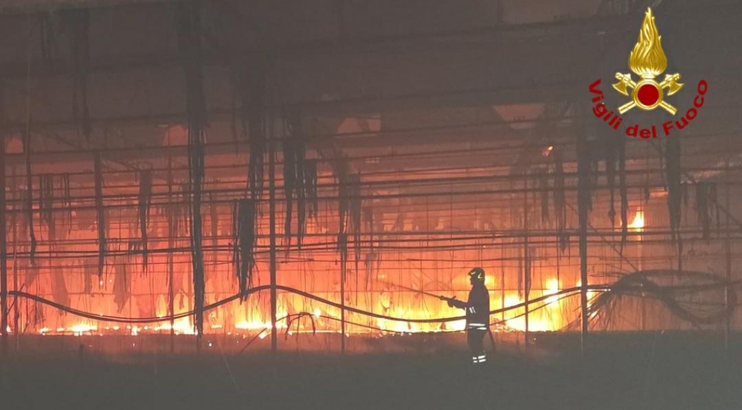 Viareggio, notte di fiamme e paura: incendio distrugge una serra, bruciate stelle di Natale e 30mila piante Viareggio, notte di fiamme e paura: incendio distrugge una serra, bruciate stelle di Natale e 30mila piante