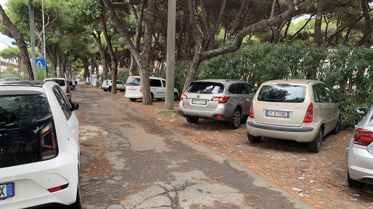 Il posteggio adiacente. la pineta di viale Colombo sempre stracolmo di auto. A Marina è diventato impossibile lasciare l’auto in sosta
