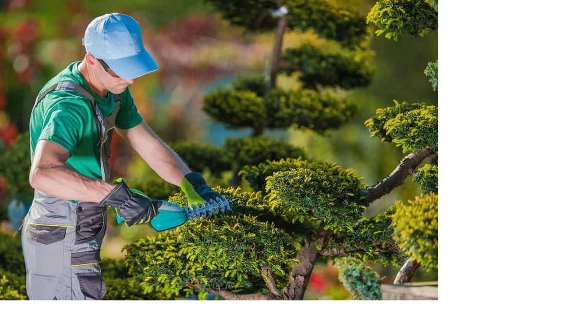 Piccola manutenzione e monitoraggio continuo delle aree verdi attrezzate, i lavori sono stati affidati alla "Urban Design" dal Comune di...