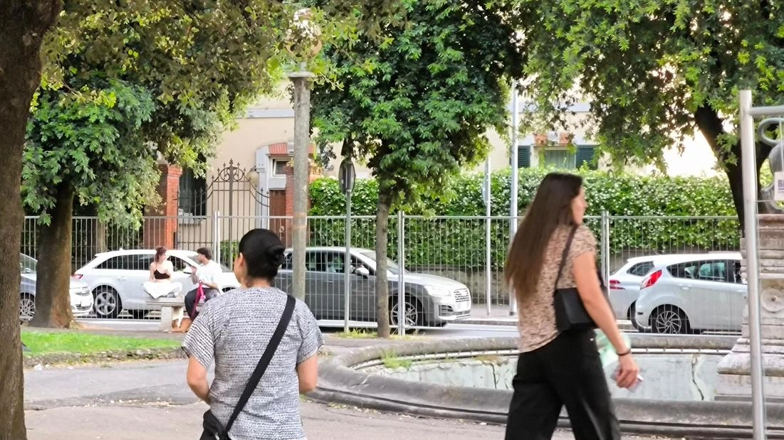 Giardini del Porcinai, il punto dell’assessore Alessandro Casi Giardini del Porcinai, il punto dell’assessore Alessandro Casi