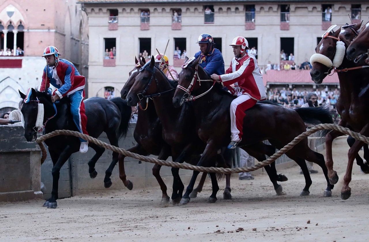 immagine di sfondo 14