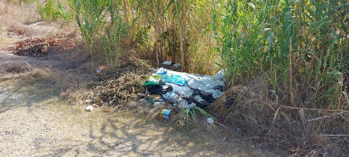 sacchetti abbandonati raffica di sanzioni