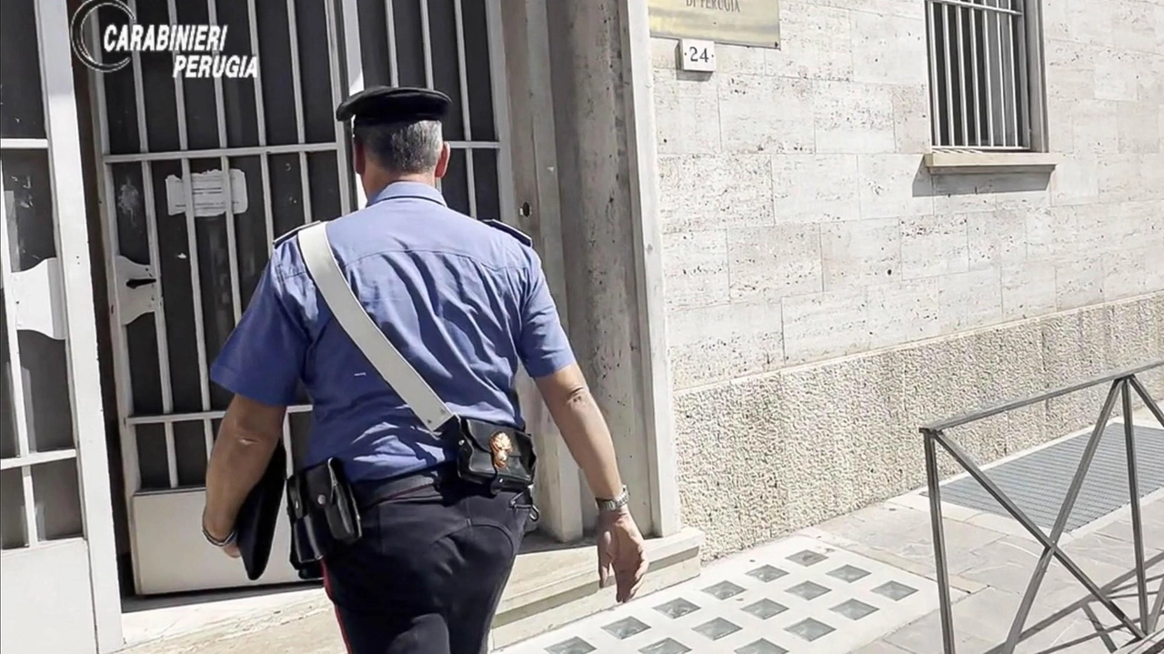 Indagini condotte dai carabinieri Indagini condotte dai carabinieri