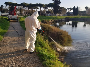 immagine articolo