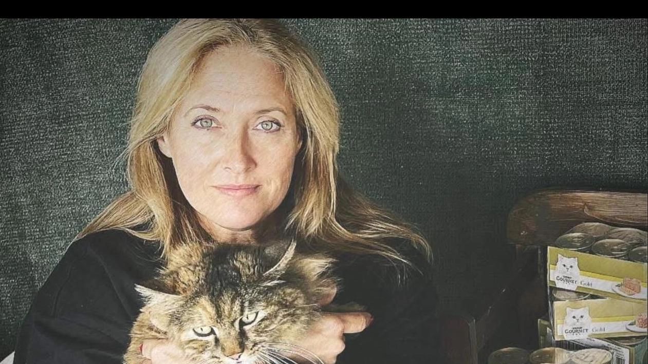 Giornata internazionale del gatto: "Adottare un micio cambia la vita"