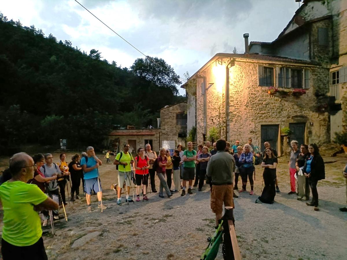https://www.lanazione.it/image-service/view/acePublic/alias/contentid/NmVjNjRlMDUtZWM5MC00/0/mulin-di-bucchio-vallucciole.jpeg?f=1.91:1&w=1200