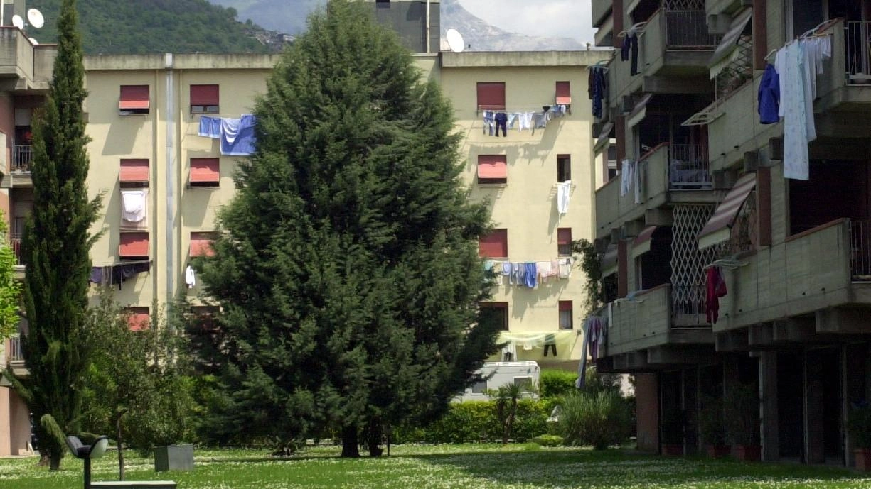 Approvata graduatoria contributi integrazione canone locazione a Carrara. 548 ammesse, 62 escluse. Possibilità di ricorso entro 2 gennaio. Dettagli sul sito del Comune. Approvata graduatoria contributi integrazione canone locazione a Carrara. 548 ammesse, 62 escluse. Possibilità di ricorso entro 2 gennaio. Dettagli sul sito del Comune.