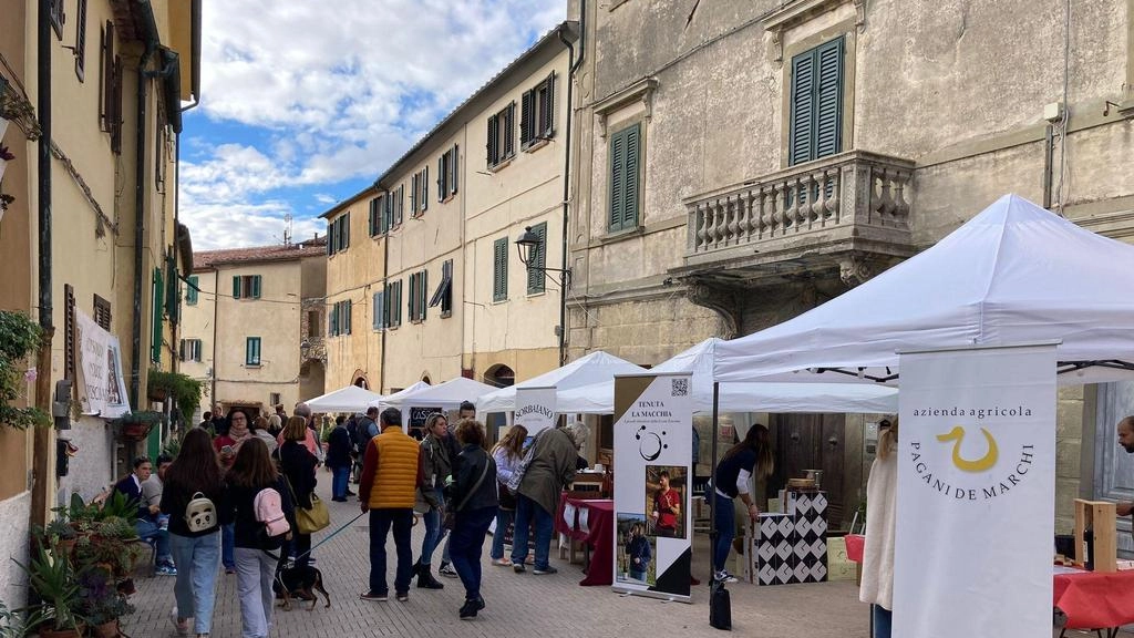 Uno degli eventi realizzati a Montescudaio. Tante le presenze di turisti che hanno portato anche a 89mila euro dalla tassa di soggiorno Uno degli eventi realizzati a Montescudaio. Tante le presenze di turisti che hanno portato anche a 89mila euro dalla tassa di soggiorno