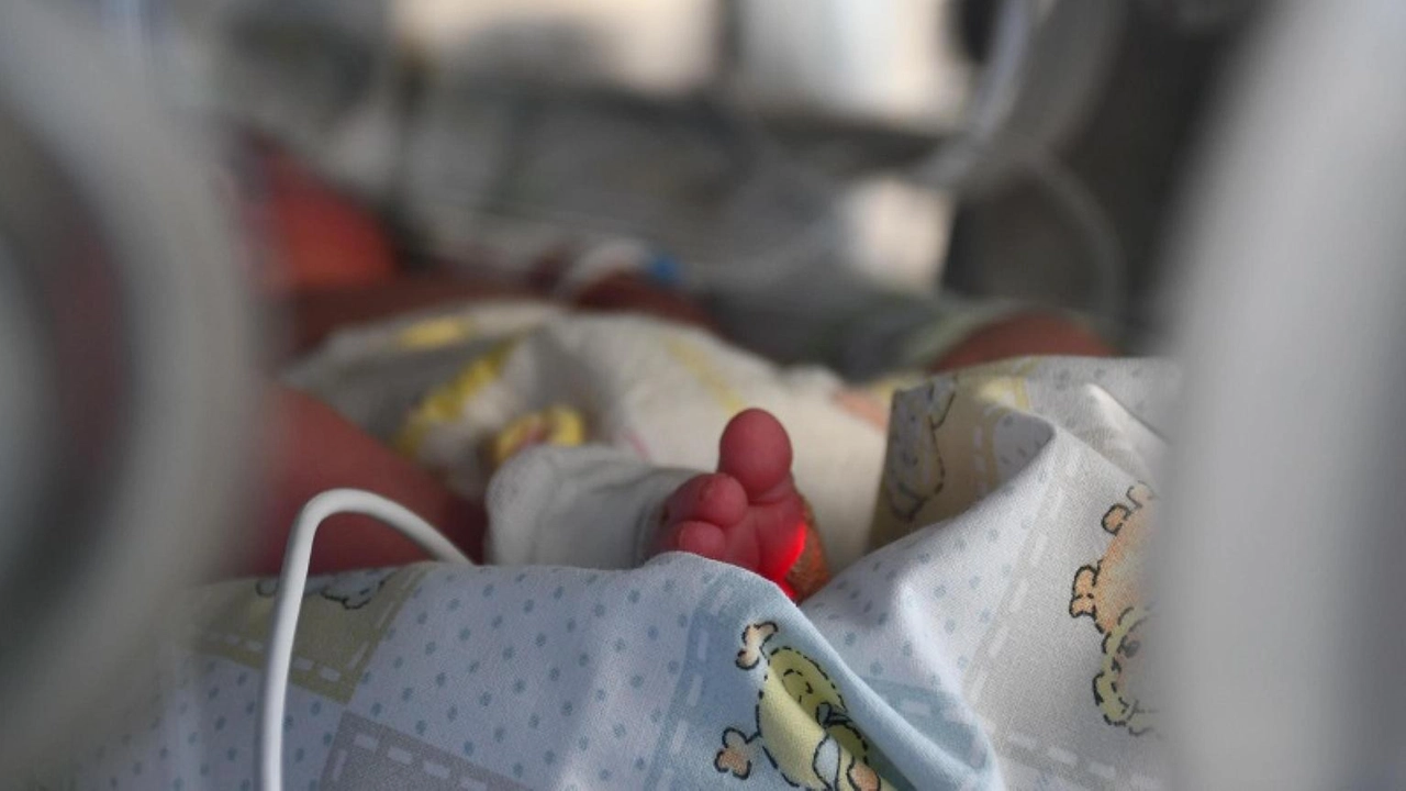 Bimbi prematuri, i racconti delle famiglie e gli incontri al San Jacopo di Pistoia