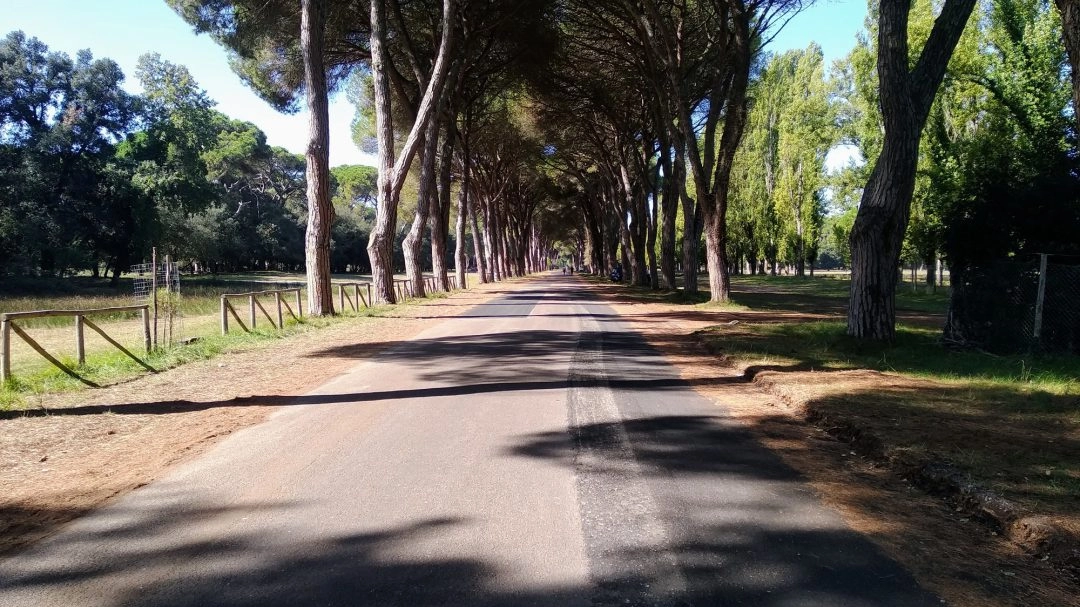 Immagine di repertorio