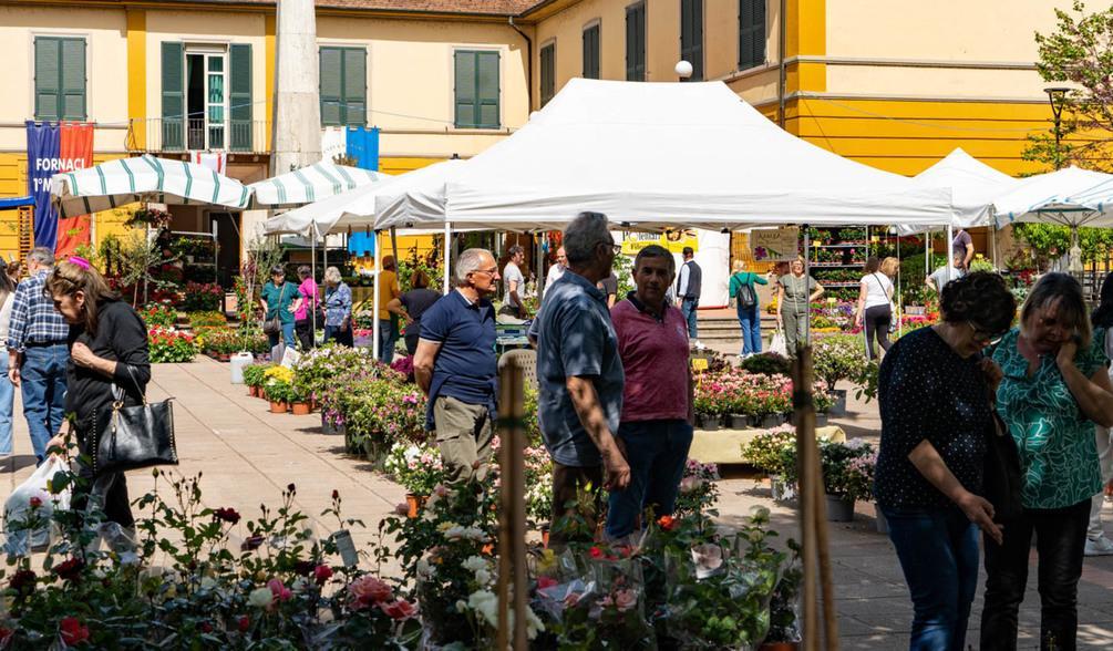 Tutto pronto per la 63esima volta. Fiori, motori, cibo e divertimento i giorni della grande festa a Fornaci