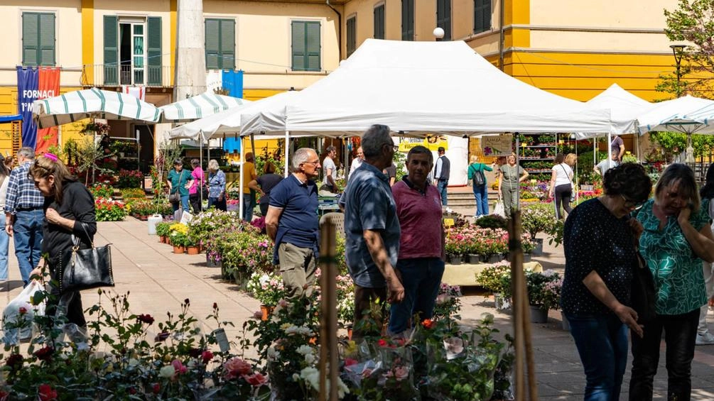 Oggi e domani migliaia di visitatori arriveranno a Fornaci di Barga per la tradizionale. fiera del Primo Maggio