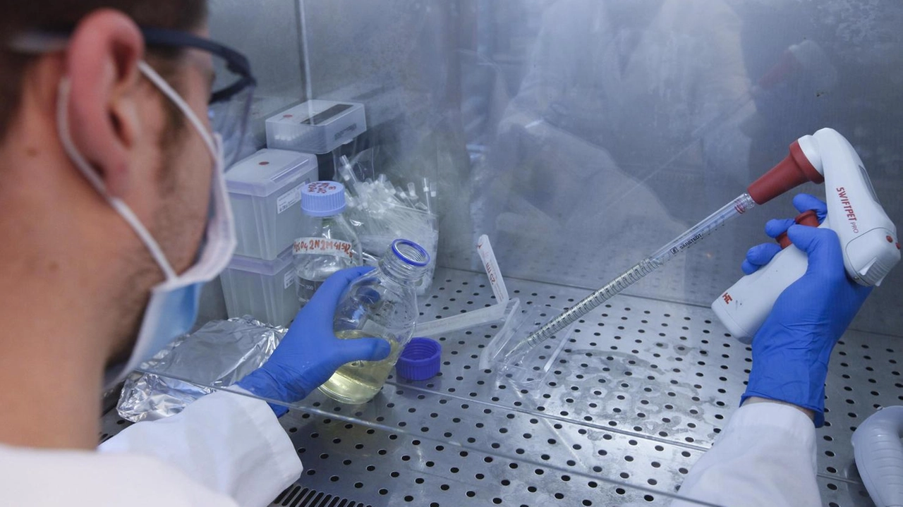 Sindacati uniti a Siena per il rinnovo del contratto metalmeccanici. Focus su vertenze Beko e Gsk, crisi occupazionale. Sindacati uniti a Siena per il rinnovo del contratto metalmeccanici. Focus su vertenze Beko e Gsk, crisi occupazionale.