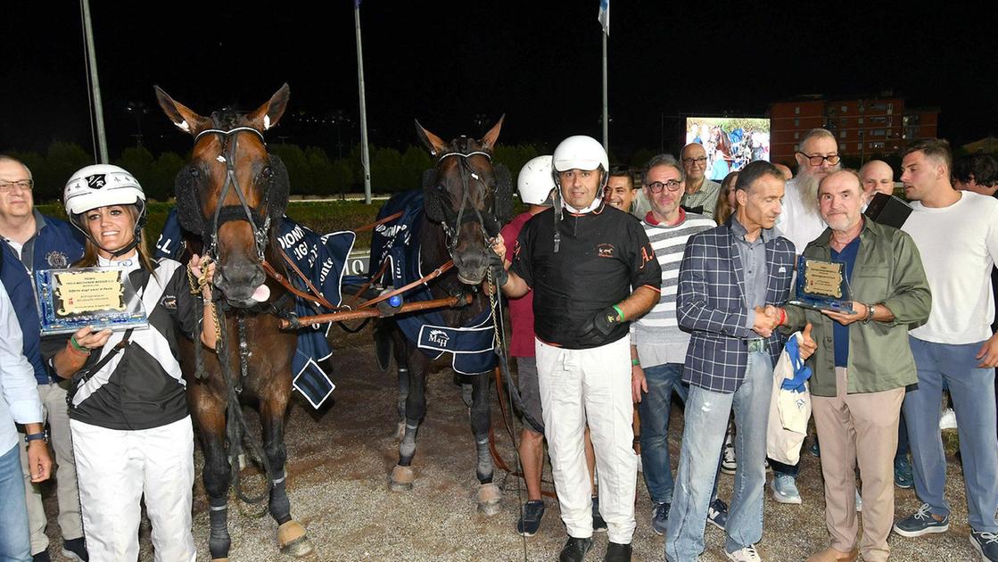 sesana la serata delle pariglie emozioni a non finire per muretti