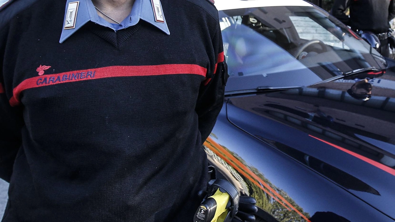 L’inchiesta dei carabinieri è partita dalla segnalazione di un idraulico che ha visto in vendita on line apparecchiature che gli erano state rubate L’inchiesta dei carabinieri è partita dalla segnalazione di un idraulico che ha visto in vendita on line apparecchiature che gli erano state rubate