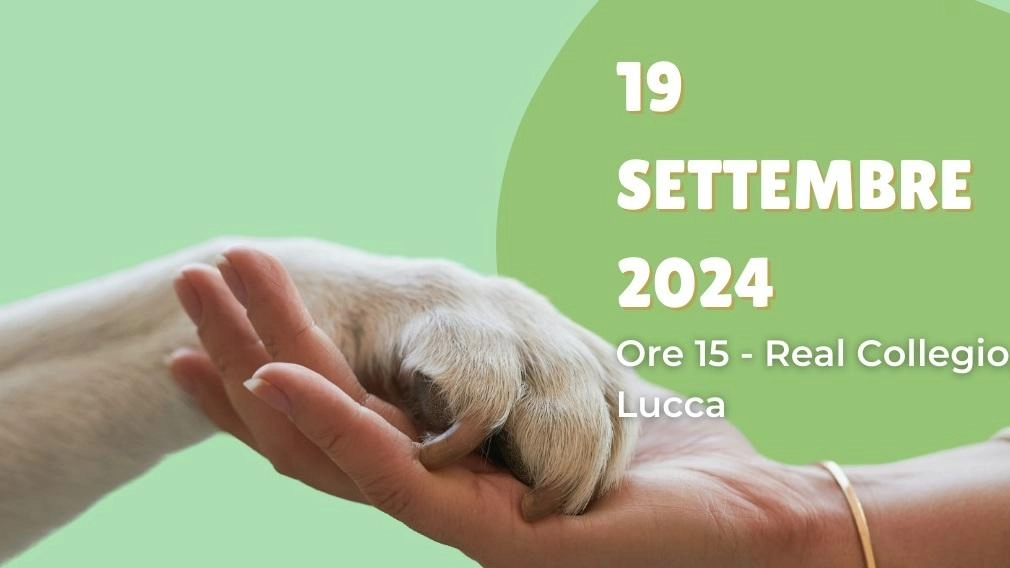 Il Comune di Lucca, insieme all'Università di Pisa e Lucca Crea, partecipa al progetto europeo In-habit Horizon 2020 per migliorare la qualità di vita attraverso il rapporto uomo-animale. L'In hub offre un luogo di partecipazione attiva e il prossimo evento si terrà il 19 settembre al Real Collegio di Lucca. Il Comune di Lucca, insieme all'Università di Pisa e Lucca Crea, partecipa al progetto europeo In-habit Horizon 2020 per migliorare la qualità di vita attraverso il rapporto uomo-animale. L'In hub offre un luogo di partecipazione attiva e il prossimo evento si terrà il 19 settembre al Real Collegio di Lucca.