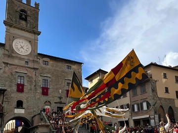 immagine articolo