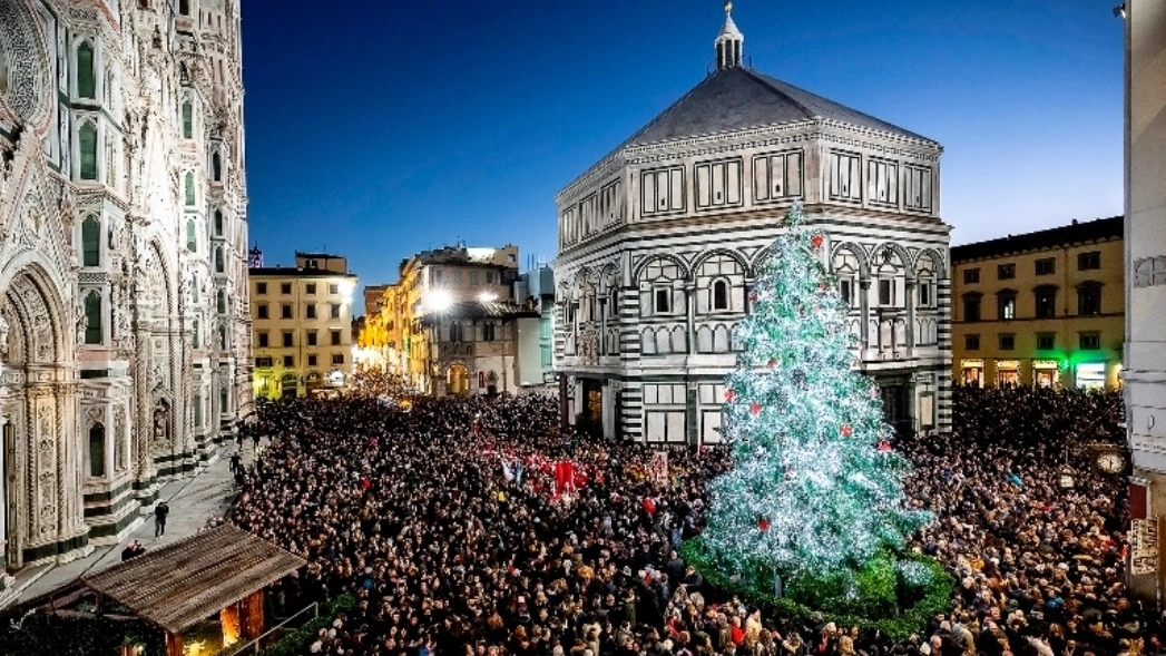 Albero in piazza Duomo a Firenze Albero in piazza Duomo a Firenze